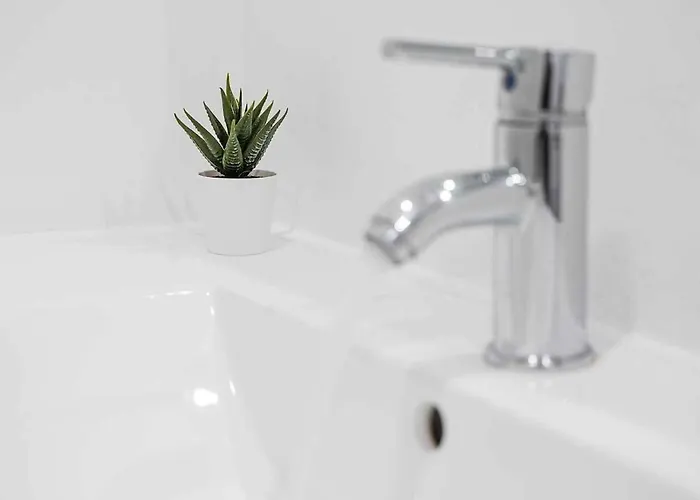 Lejlighed Panorama Clerigos *